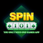 SPIN 101