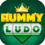 Rummy ludo app logo